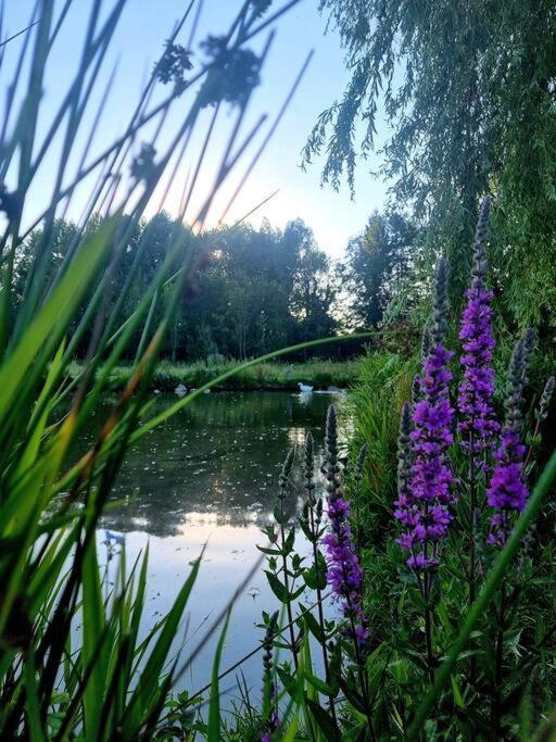 La Villa D'Aurel De 140M2, 2 Hectares De Nature Fruges Eksteriør billede